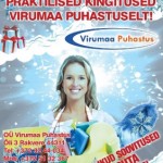 dets 2011 plakat VP